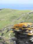 SX07270 Stones of medieval courtyard of Tintagel castle - view towards Barras Nose.jpg